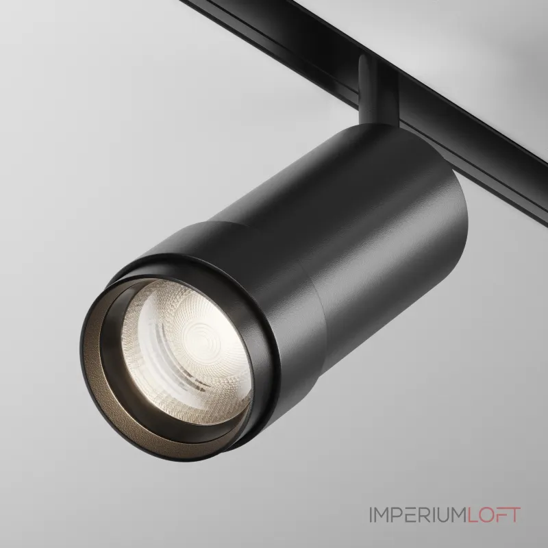 Трековый светильник Maytoni EXILITY TR212-1-12WTW-DS-Z-B от ImperiumLoft