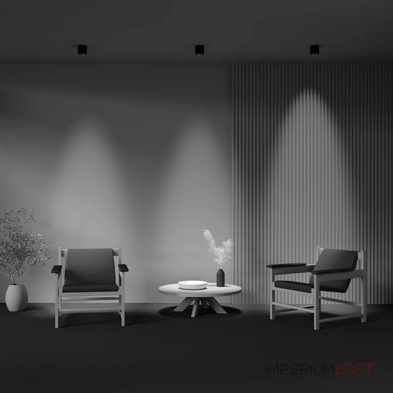 Потолочный светильник Maytoni Ceiling C217CL-15W4K-B от ImperiumLoft