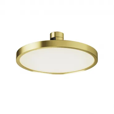 Трековый светильник Maytoni Plato TR153-1-10W4K-BS