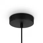 Подвесной светильник Roots MOD193PL-01W