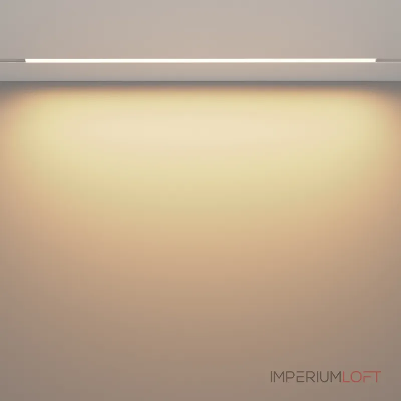 Трековый светильник Maytoni EXILITY TR030-2-30W3K-W от ImperiumLoft