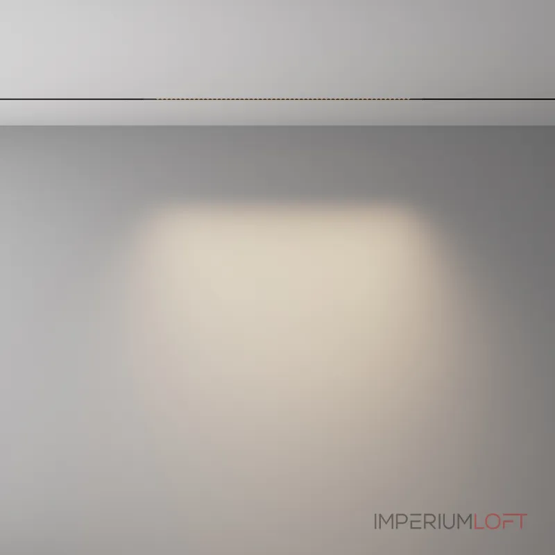 Трековый светильник Maytoni Points TR241-2-12W4K-B от ImperiumLoft
