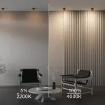 Встраиваемый светильник Maytoni Downlight DL024-12W-DTW-BMG от ImperiumLoft