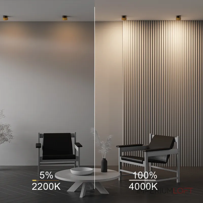 Встраиваемый светильник Maytoni Downlight DL024-12W-DTW-BMG от ImperiumLoft