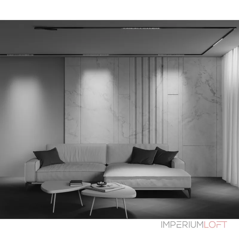 Трековый светильник Maytoni Points TR241-2-12W4K-B от ImperiumLoft