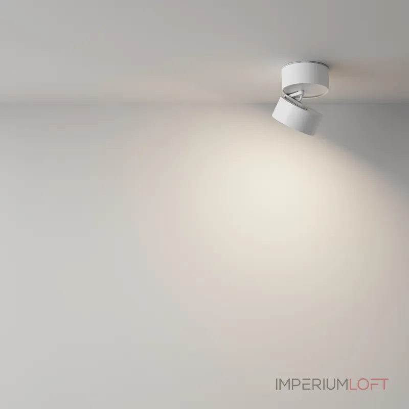 Потолочный светильник Maytoni Ceiling C024CL-12W4K-W-1 от ImperiumLoft