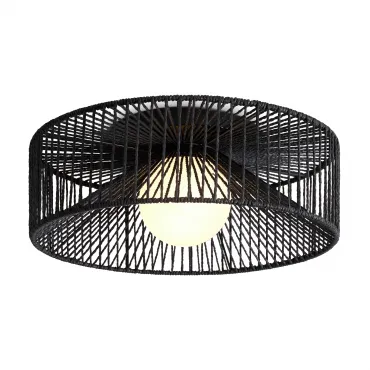 Потолочный светильник Freya FR5405CL-01B Потолочный светильник Freya FR5405CL-01B