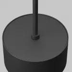 Подвесной светильник Maytoni Pendant P102PL-12W3K-B