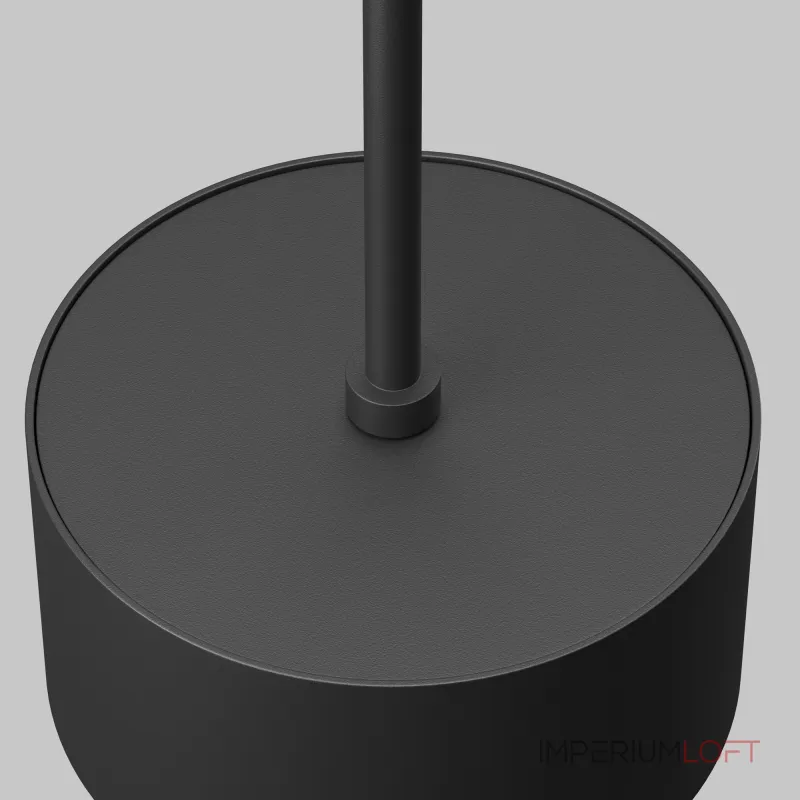 Подвесной светильник Maytoni Pendant P102PL-12W3K-B