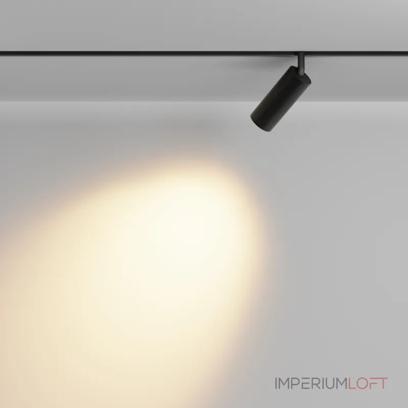 Трековый светильник Maytoni EXILITY TR032-2-12W2.7K-M-B от ImperiumLoft