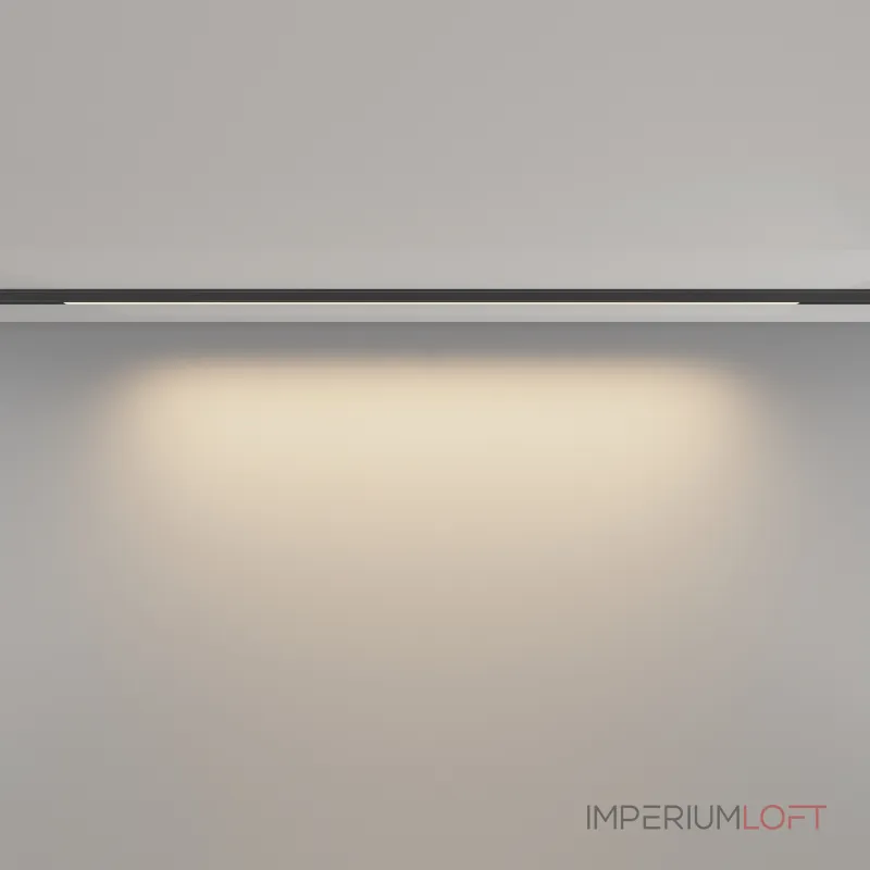 Трековый светильник Maytoni LEVITY TR190-1-15W3K-B от ImperiumLoft