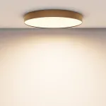 Потолочный светильник Maytoni Ceiling C032CL-90W3K-RD-MG от ImperiumLoft