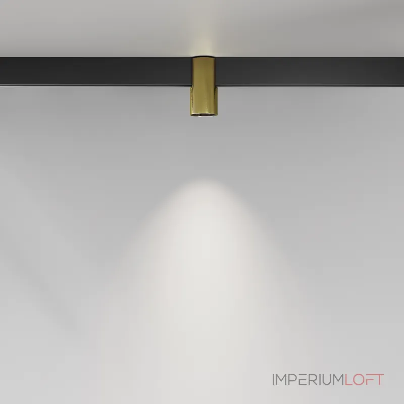 Трековый светильник Maytoni EXILITY TR122-4-7W-DS-BS от ImperiumLoft Трековый светильник Maytoni EXILITY TR122-4-7W-DS-BS от ImperiumLoft