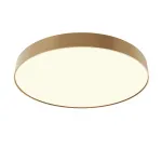 Потолочный светильник Maytoni Ceiling C032CL-90W3K-RD-MG от ImperiumLoft