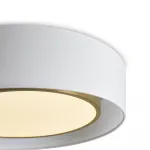 Потолочный светильник Freya Cozy FR6170CL-L52BS от ImperiumLoft