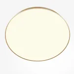 Потолочный светильник Maytoni Ceiling C032CL-90W3K-RD-MG от ImperiumLoft