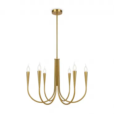 Люстра на штанге Branches FR5253PL-06BS