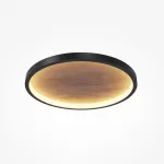 Потолочный светильник Maytoni Orign MOD311CL-L40B3K от ImperiumLoft