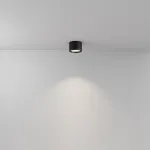 Потолочный светильник Maytoni Ceiling C090CL-10W4K-B от ImperiumLoft
