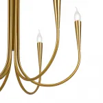 Люстра на штанге Branches FR5253PL-06BS