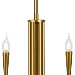 Люстра на штанге Branches FR5253PL-06BS