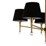 Подвесная люстра Rosemary FR5190PL-05BS