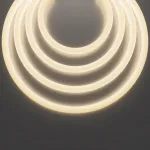 Гибкий неон Nemo D25 48В 12,5Вт/м 3000К IP65 20м Maytoni 433001 от ImperiumLoft