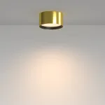 Потолочный светильник Maytoni Ceiling C091CL-12W3K-BS от ImperiumLoft