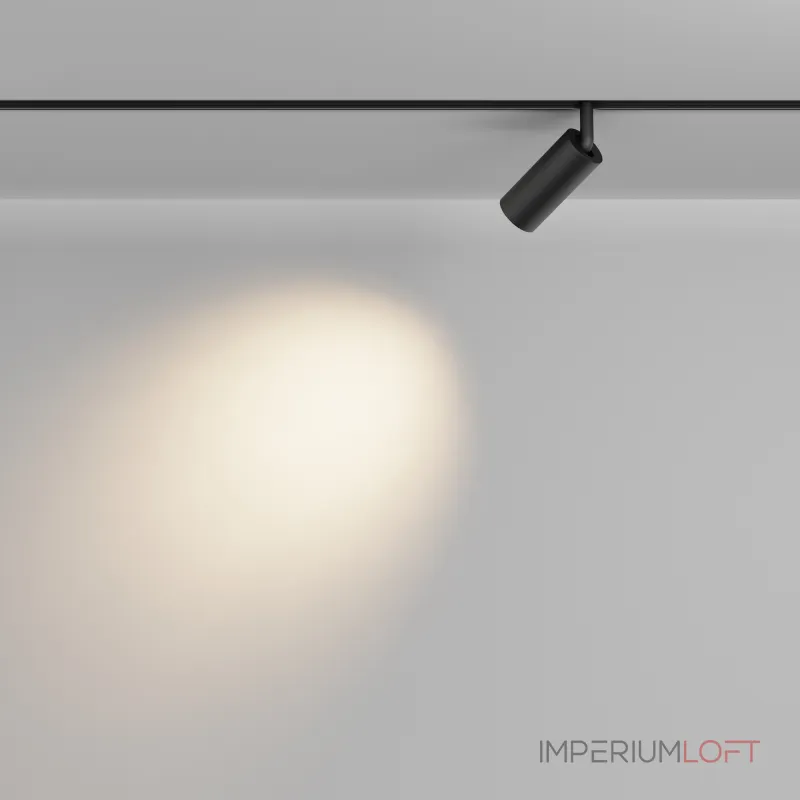 Трековый светильник Maytoni EXILITY TR032-2-5W2.7K-M-B от ImperiumLoft