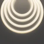 Гибкий неон Nemo D25 48В 12,5Вт/м 4000К IP65 20м Maytoni 433002 от ImperiumLoft