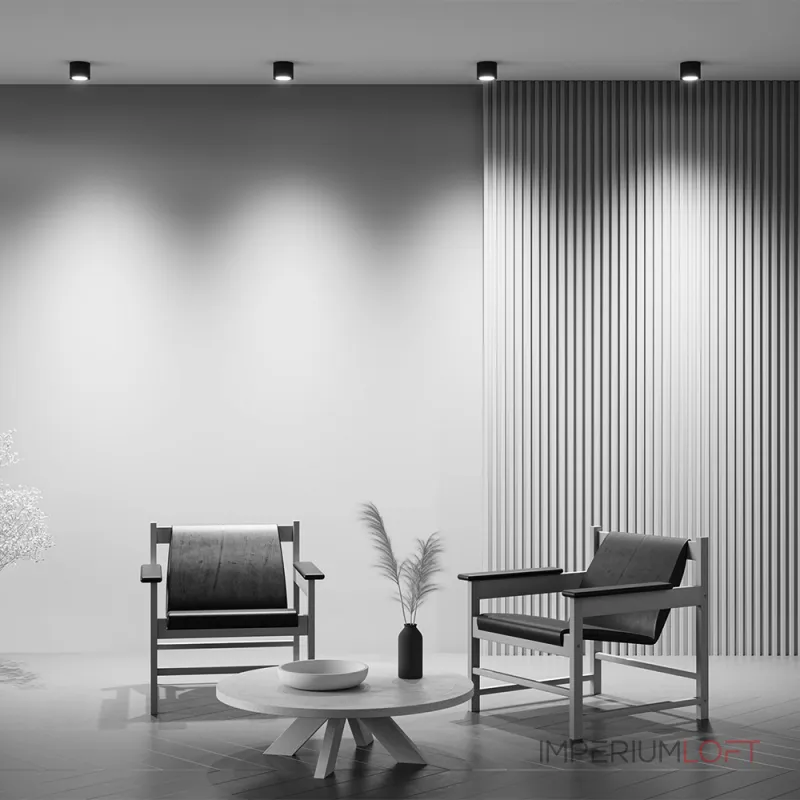 Потолочный светильник Maytoni Ceiling C095CL-GX53-B от ImperiumLoft