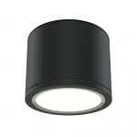 Потолочный светильник Maytoni Ceiling C095CL-GX53-B от ImperiumLoft