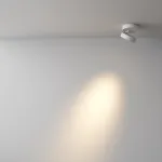 Потолочный светильник Maytoni Ceiling C022CL-7W3K-W-1 от ImperiumLoft