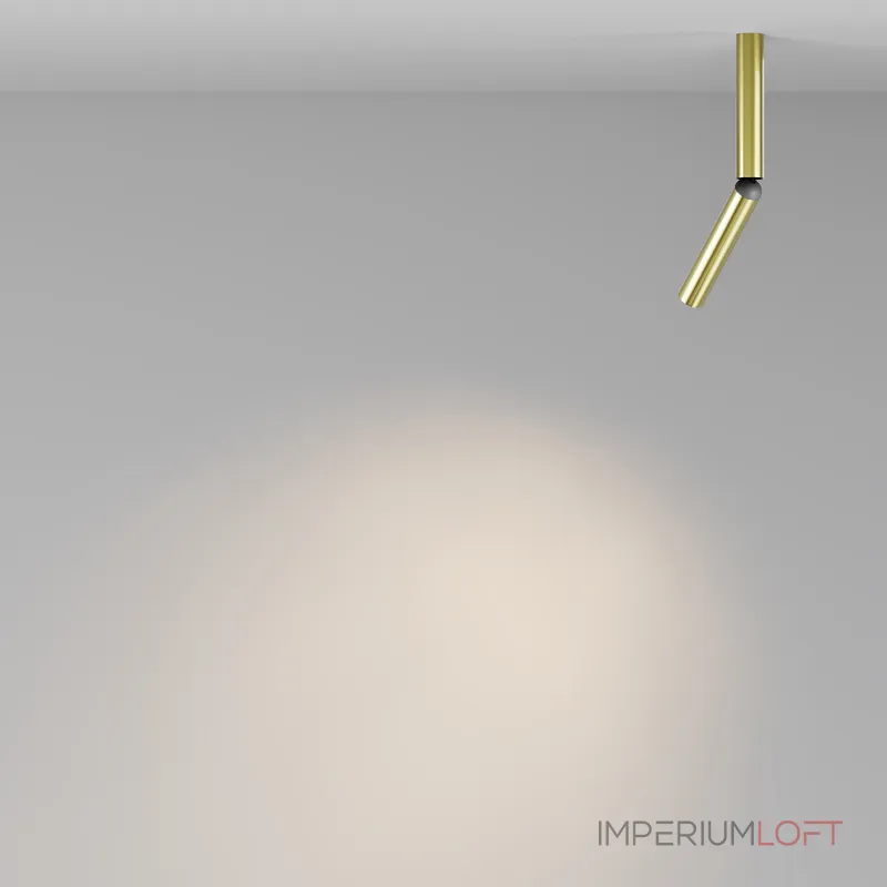 Потолочный светильник Maytoni Ceiling C142CL-6W3K-BS от ImperiumLoft