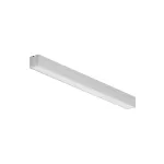 Потолочный светильник Maytoni LL311002 от ImperiumLoft