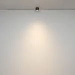 Потолочный светильник Maytoni Ceiling C095CL-GX53-B от ImperiumLoft