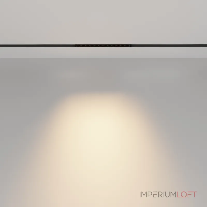 Трековый светильник Maytoni EXILITY TR031-2-12W2.7K-B от ImperiumLoft