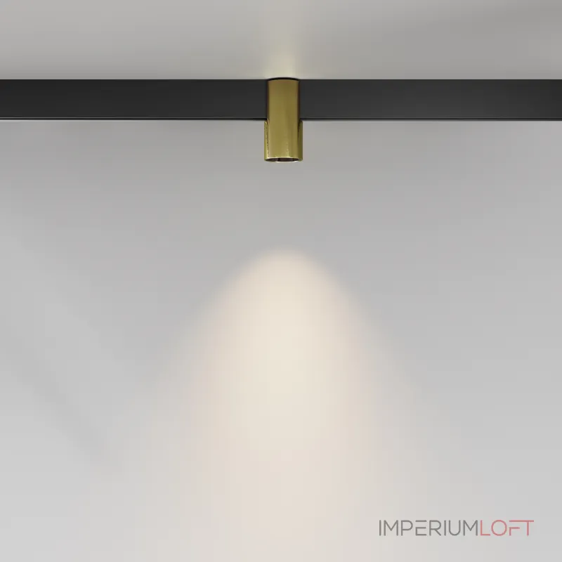 Трековый светильник Maytoni EXILITY TR122-2-7W3K-BS от ImperiumLoft Трековый светильник Maytoni EXILITY TR122-2-7W3K-BS от ImperiumLoft