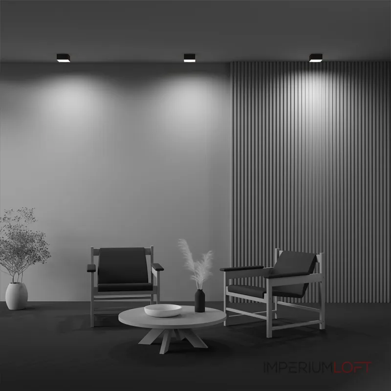 Потолочный светильник Maytoni Ceiling C032CL-12W3K-SQ-B от ImperiumLoft