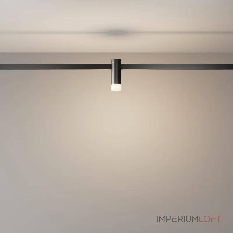 Трековый светильник Maytoni FLARITY TR145-1-3W3K-W-B от ImperiumLoft