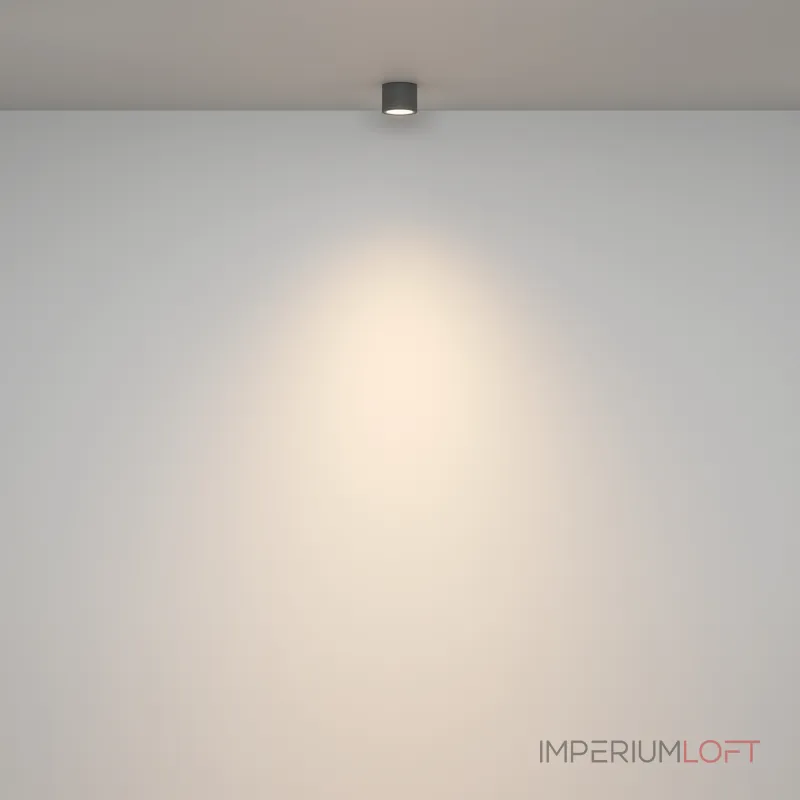 Потолочный светильник Maytoni Ceiling C095CL-GX53-GR от ImperiumLoft