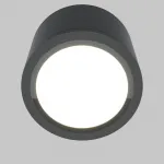 Потолочный светильник Maytoni Ceiling C095CL-GX53-GR от ImperiumLoft