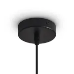 Подвесной светильник Freya Топи / Topi FR5503PL-01B1