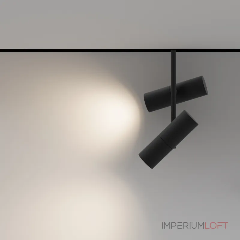 Трековый светильник Maytoni EXILITY TR005-4-2X12W-DS-B от ImperiumLoft Трековый светильник Maytoni EXILITY TR005-4-2X12W-DS-B от ImperiumLoft