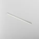 Потолочный светильник Maytoni LL311039 от ImperiumLoft