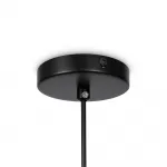 Подвесной светильник Eleon FR5218PL-01B1