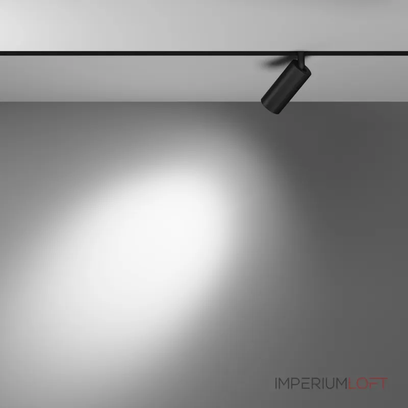 Трековый светильник Maytoni EXILITY TR032-4-5WTW-S-DD-B от ImperiumLoft