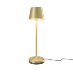 Аккумуляторный настольный светильник 2700-4000К 1Вт Maytoni Nook MOD494RL-L1BSK от ImperiumLoft