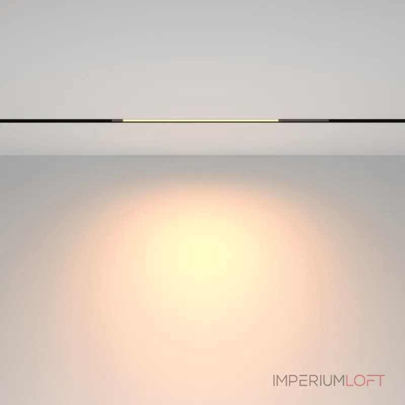 Трековый светильник Maytoni EXILITY Basis TR231-2-10W3K-B от ImperiumLoft