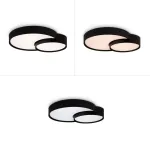 Потолочный светильник Freya Items FR6094CL-L72B